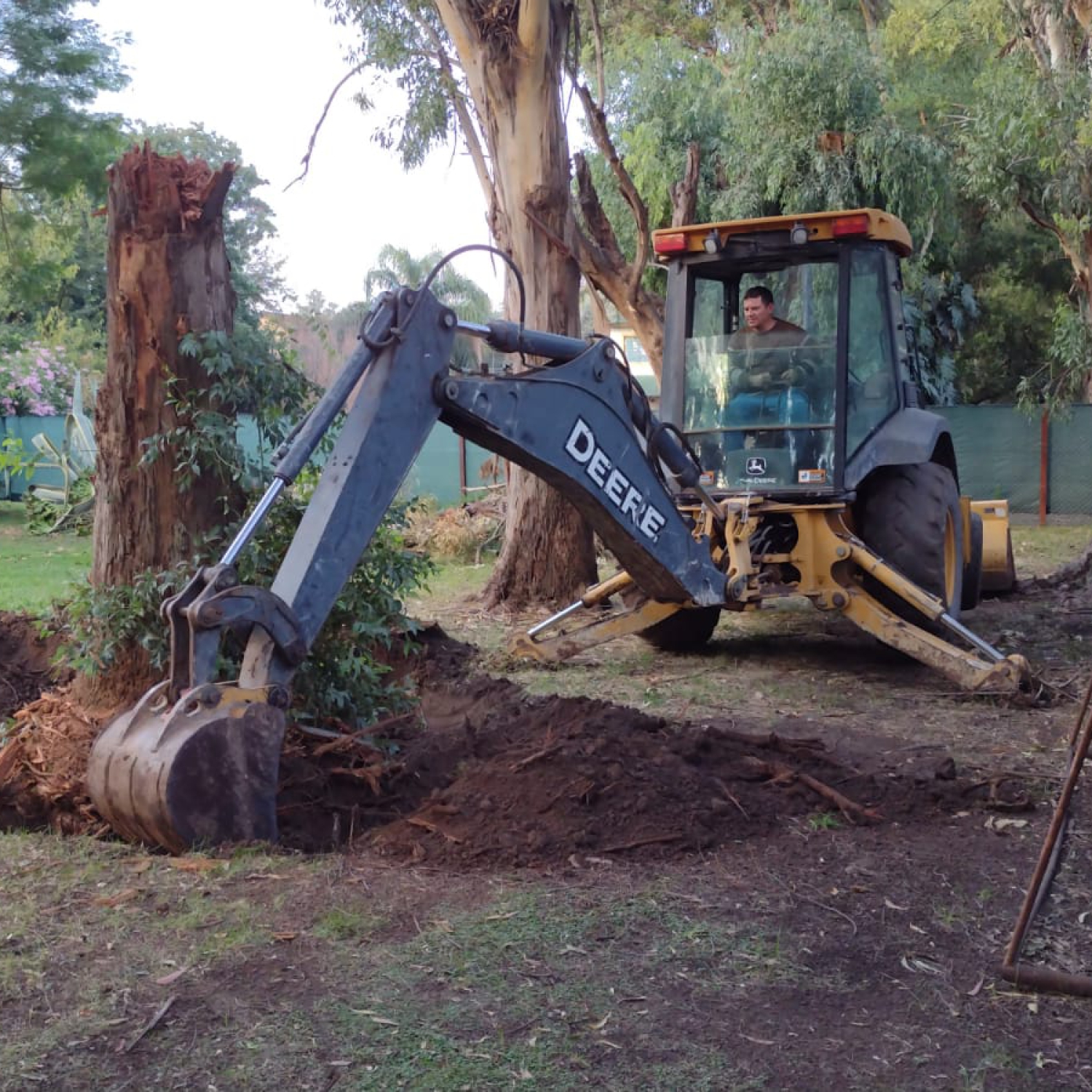 MG Extraccion de Arboles 2