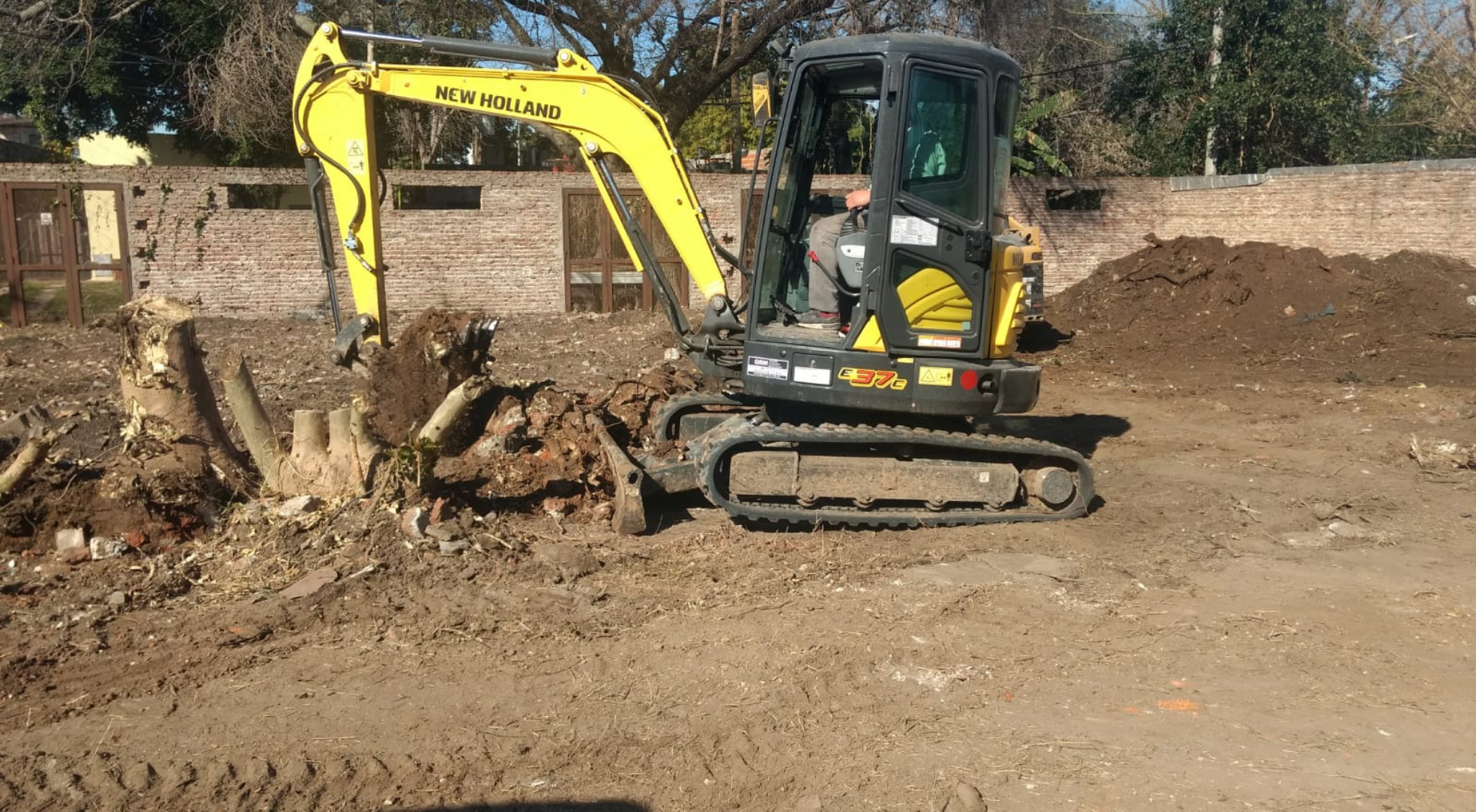 MG Extraccion de Arboles 1