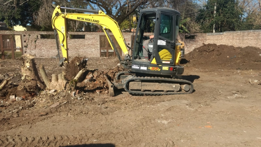 MG Extraccion de Arboles 1