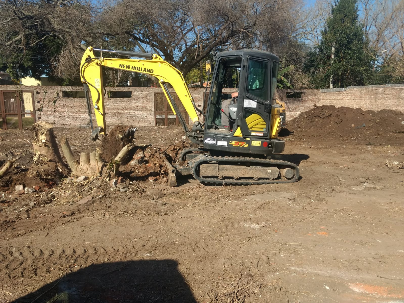 MG Extraccion de Arboles 1